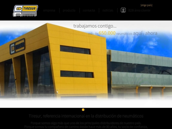 tiresur.com