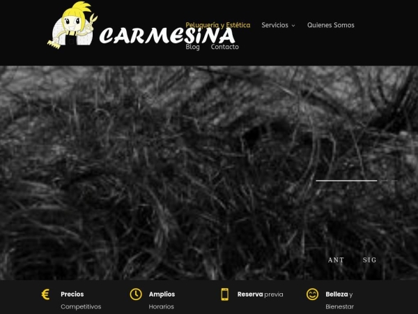 carmesina.es